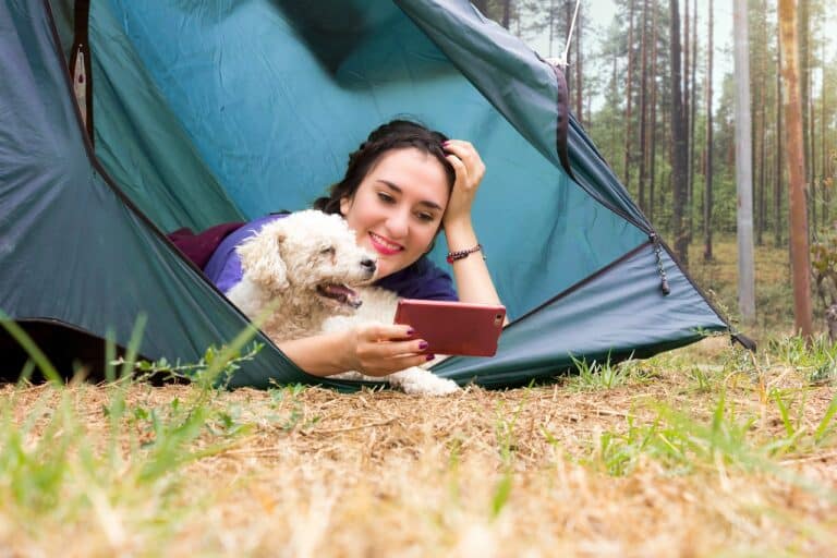 Stay Warm and Comfortable with the Best Moving Blankets for Tent Floors